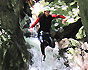 betriebsausflug gardasee mit canyoning 6