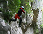 best of Canyoning am Gardasee Italien 4