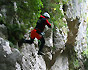 Canyoning am Gardasee Vajo dell Orsa 1