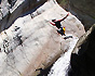 junggesellen abschied tirol oesterreich canyoning auerklamm 1