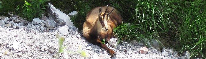 bergsport aktiv am gardasee italien