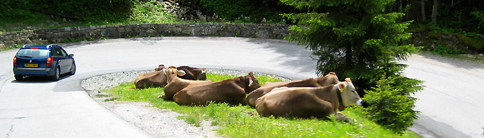 outdoorplanet kontakt tirol gardasee